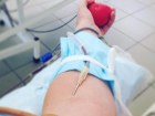 В Волгодонске доноры не могут сдать кровь из-за уволившегося терапевта