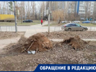 «Когда же вывезут этот бурелом?»: больше года сваленные ветки лежат на улице Гагарина
