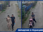 «Наркоманы, прикрываясь грудным ребенком, ищут закладки по всему садоводству!»: волгодонцы