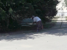 Видимо, больше некому ремонтировать скамейки - читатель о бабушке с молотком