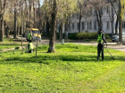 В Волгодонске проходят работы по покосу травы