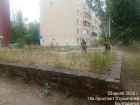 Траву покосили, мусор убрали: коммунальщики привели в порядок территорию за сквером «Казак»