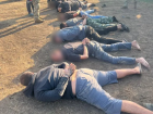 Делали набеги на окрестности Волгодонска, похищены десятки голов скота: начинается суд над этнической бандой ночных скотокрадов