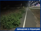 «За лето траву не косили ни разу!»: жители просректа Лазоревого требуют очистить территорию от зарослей