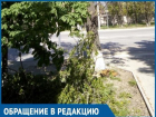 Дерево размером с автомобиль упало возле пешеходного перехода в Волгодонске