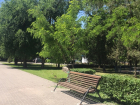 Сертификаты на покупку саженцев деревьев и кустов получат лучшие ТОСы Волгодонска