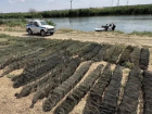 Две тысячи незаконно выловленных раков вернули в водоемы: итоги операции полиции и рыбохраны