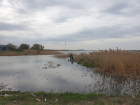 Цимлянское водохранилище почистят от браконьерских сетей 
