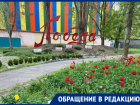 «Выкапывают цветы, кусты роз и даже деревья»: крик души сотрудников Парка Победы 