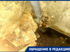 «Ноу-хау» от ЖРЭУ-5: канализационную трубу в подвале загерметизировали булыжниками