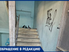 Нашествие голубей, крыс и тараканов: многоквартирный дом стал местом антисанитарии и кладбищем животных