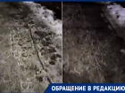 «Это бездушность по отношению к слепым»: волгодонцы об уборке тротуаров на 50 лет СССР 