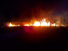 Весь пожарный гарнизон Волгодонска полночи тушил пожар в садоводстве «Мирный атом»