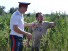 В Волгодонске обнаружили заросли дикорастущей конопли