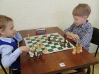 Названа школа с лучшими шахматистами Волгодонска