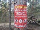 Жителям Волгодонска запретили ходить в лес