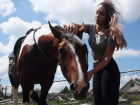 «Поседевшая грива, душераздирающие крики и грусть в глазах»: конный клуб столкнулся с массовым заболеванием лошадей