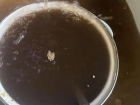 Черная вода из водопровода пошла в Цимлянске