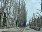 Более 100 новых лавочек установят на улице Ленина