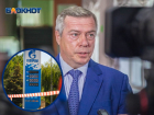 «Нюанс возник»: губернатор Василий Голубев назвал причины проблем с топливом в регионе