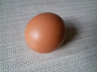 Курицы Волгодонска снесли в полтора раза больше яиц