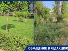 «Хочу показать вам город изнутри»: в Волгодонске возле здания Росатома все поросло бурьяном