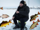 Что нужно для зимней рыбалки: руководство для начинающих