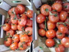 Заплесневелые овощи обнаружили в социальном центре для детей в Мартыновском районе