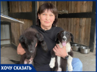 «Бороться нужно с бездомностью, а не с собаками: почему проблема бродячих животных - вина человека», - зооволонтер Лариса Семина 