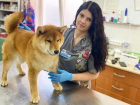 Ветеринарная клиника приглашает на работу ветврача: можно без опыта работы
