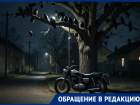 Мотоциклы и вороны превратили в ад жизнь волгодонцев