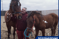 Символы Нового года Фина и Сокол поздравляют волгодонцев с наступающим праздником!