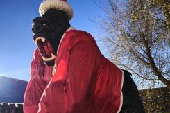 Единственный в России пятиметровый черный обезьяний Дед Мороз Кинг Конг появился в Волгодонске