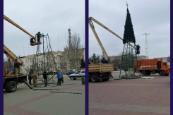 Главные новогодние елки начали устанавливать в Волгодонске