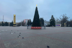 Волгодонску не светит: атомной столице Юга России не хватает мощности на новогоднюю иллюминацию