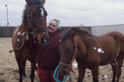 Личный парикмахер, массажист и стоматолог: как живет испанская кобылка-миллионер в Волгодонске