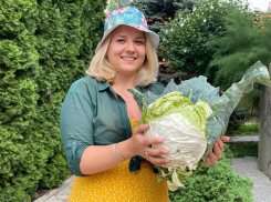 «Трамп», «Барака», «Авак»: капустное трио для вашего витаминного огорода