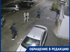 «Дураков на Руси на сто лет припасено»: волгодонцы о хулиганах, разбивших мусорную урну ногами