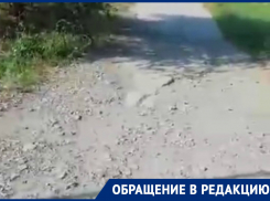 Волгодончанка показала «прелести» забытой тротуарной дорожки в парке Молодежный 