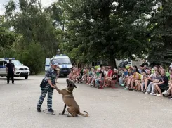 В детском центре «Ивушка» вторая смена завершилась визитом полицейской собаки