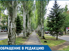 Волгодонцы обеспокоены возросшим количеством маргинальных районов в старой части города