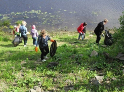 Волгодонск стал одним из самых активных участников Всероссийской экологической акции в Ростовской области