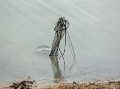 На 9 тысяч рублей наловили рыбы браконьеры в реке Цимла