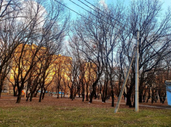 Весенний месячник чистоты и благоустройства начался в Волгодонске 