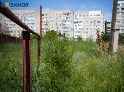 В Волгодонске фиксируют первые в этом году нарушения в виде нескошенной сорной растительности