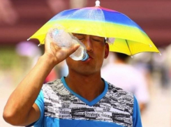 Пик жары лета-2017 наступил в Волгодонске  