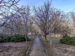 По ощущениям +3: о погоде в последний четверг осени в Волгодонске 