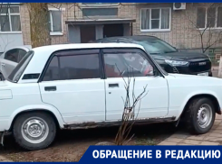 «Жигуль» колесит по тротуару и ломает молодые деревья: жители в гневе от поведения «автохама» на улице 30 лет Победы