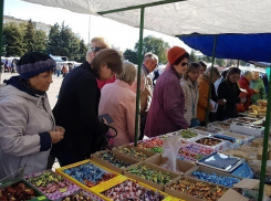 В Волгодонске проходит ярмарка «выходного дня»