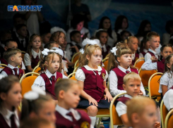 Китайский метапневмовирус не повлияет на формат учебы в школах Волгодонска